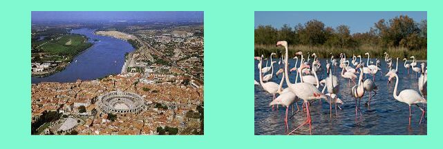 Arles: il Rodano, l'Arena _ fenicotteri negli stagni della Camargue